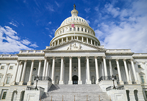 Capital Dome