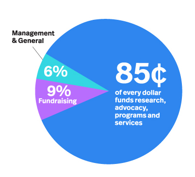 Donation Pie Chart - 2018 annual report