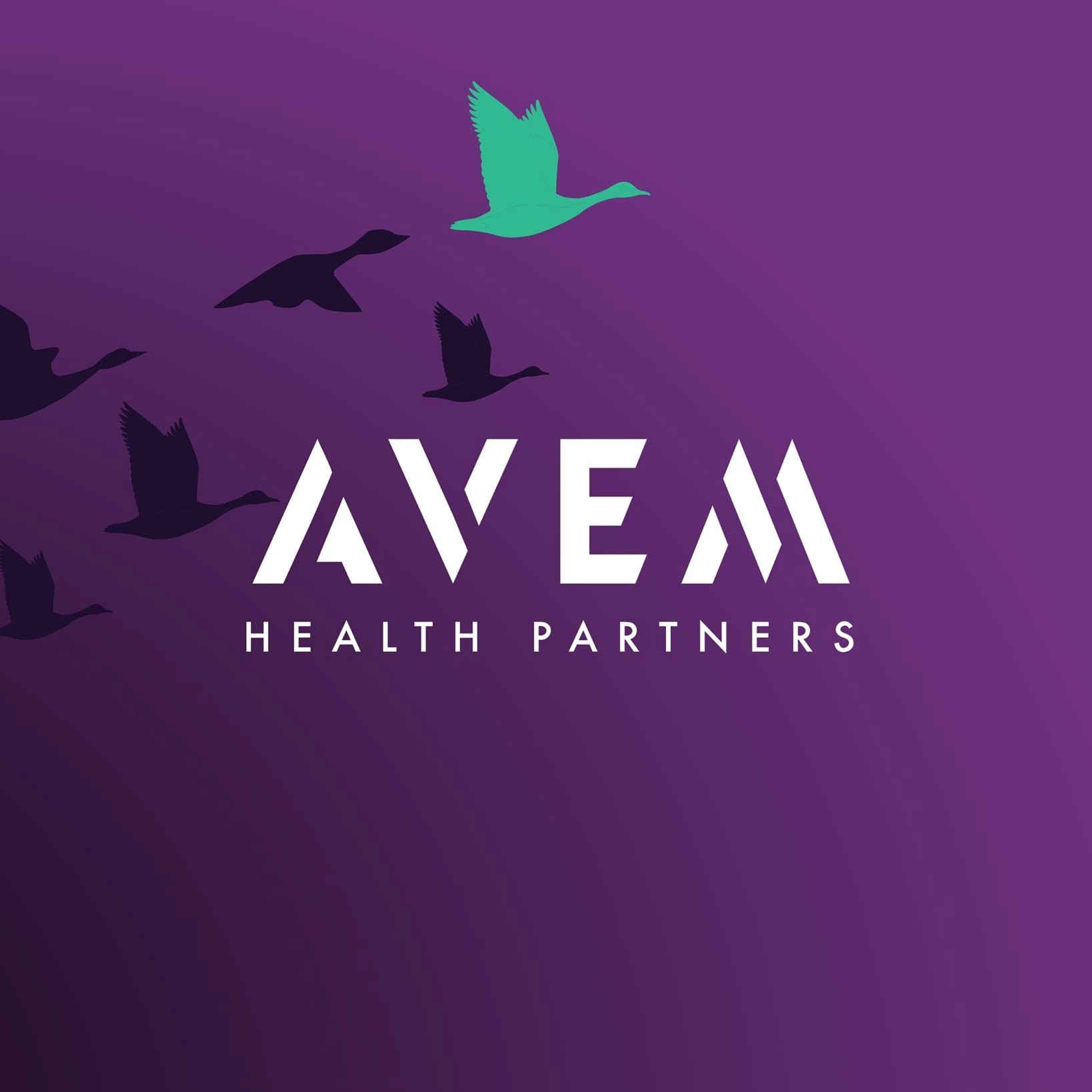 AVEM Logo.jpg