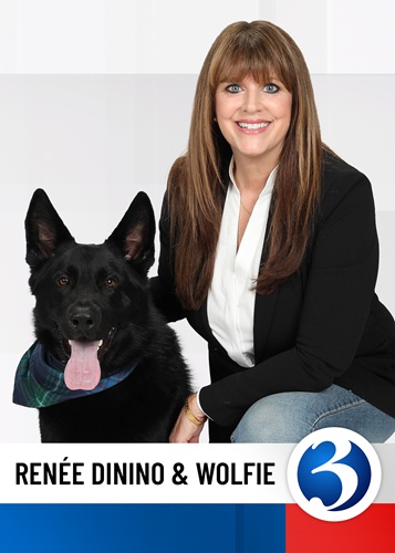 2025 Connecticut Renee Dinino
