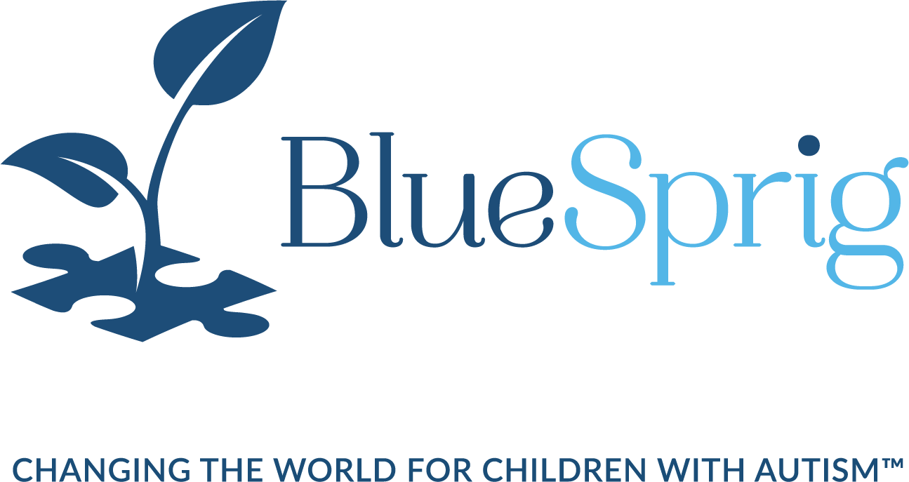 *Service Provider Sponsors* - [BlueSprig]