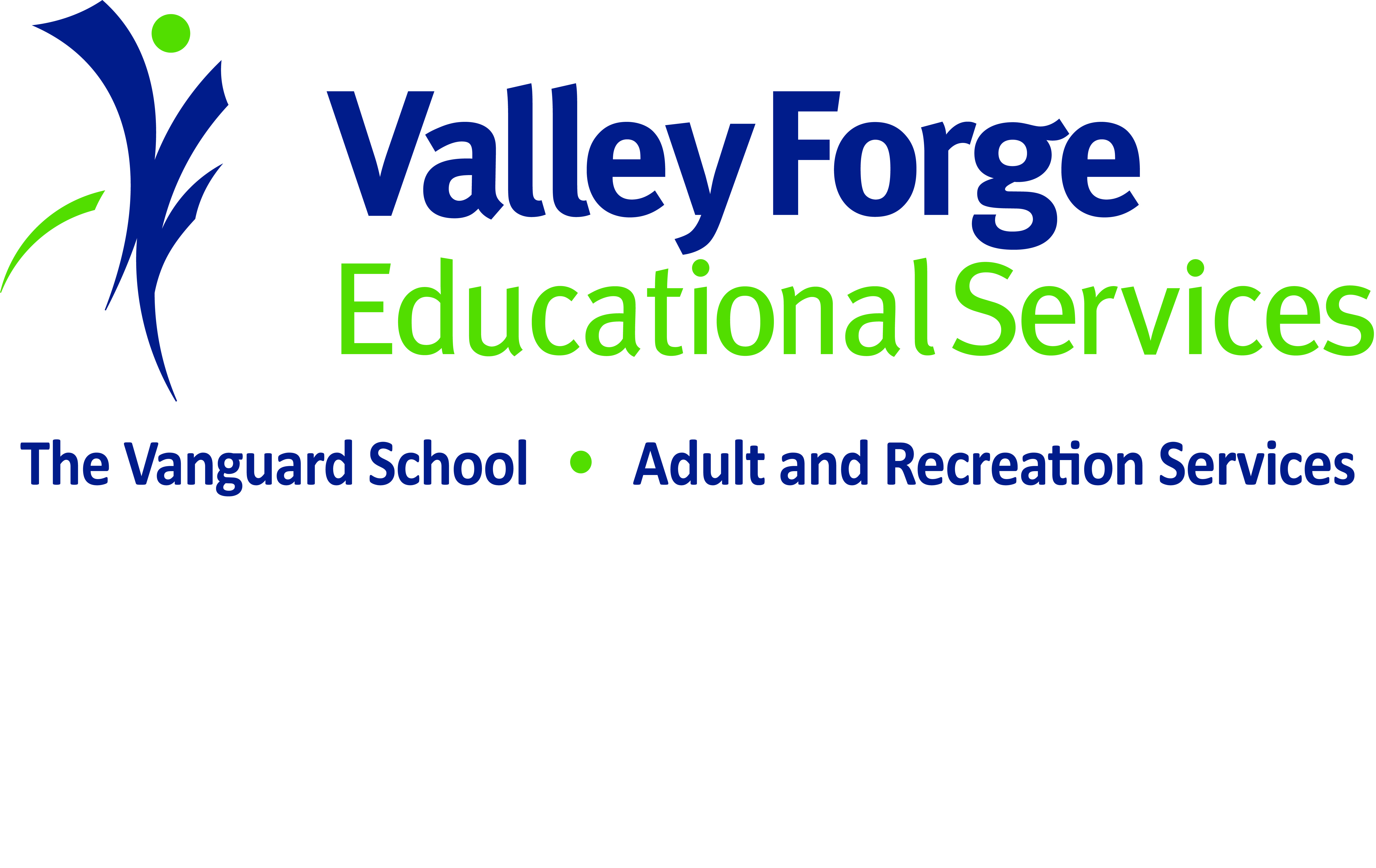 *Bronze Sponsors* [Valley Forge Educational Services]