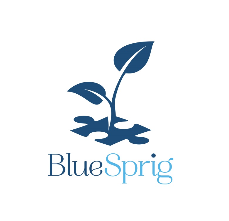 [BlueSprig] *Service Provider Sponsors*