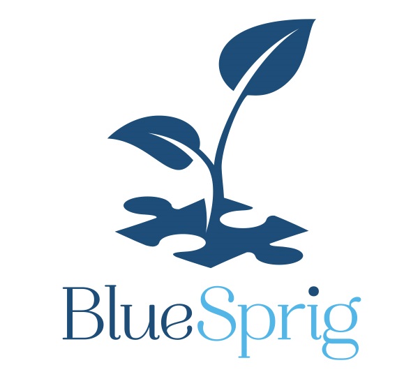 [Blue Sprig] *Service Provider Sponsors*