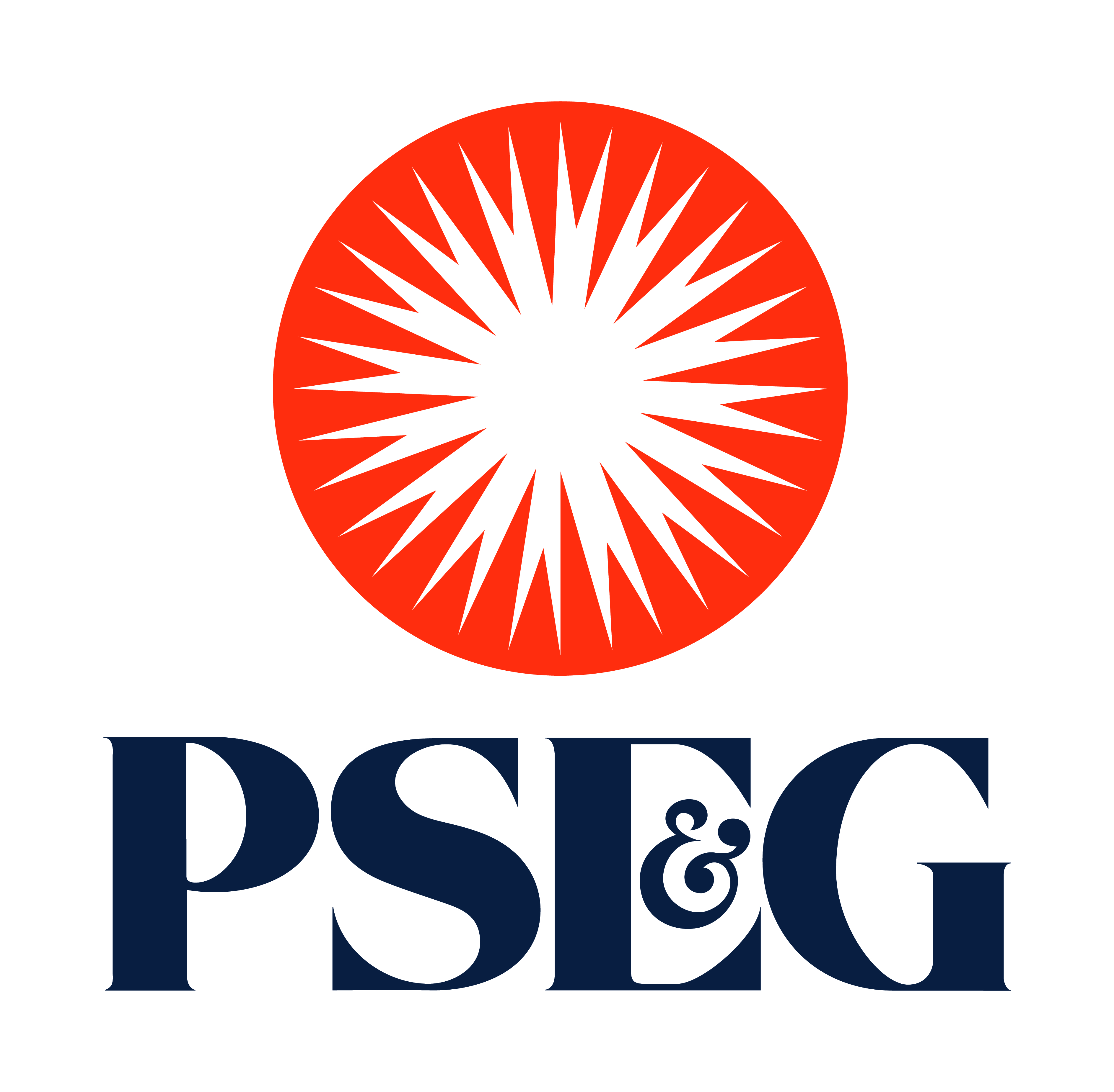 *Bronze Sponsors* [PSEG]