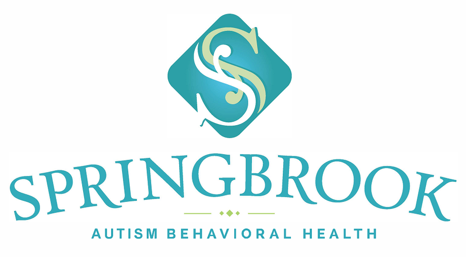 [Springbrook Behavioral Healthcare] *Service Provider Sponsors*